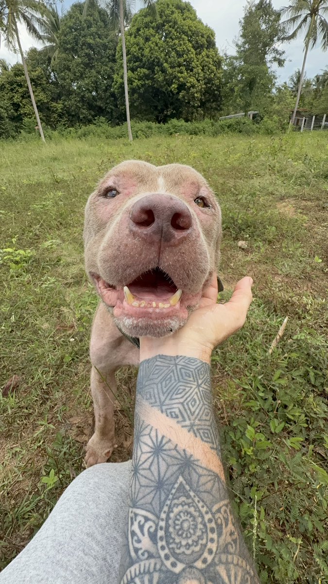 The Name: Maximus
